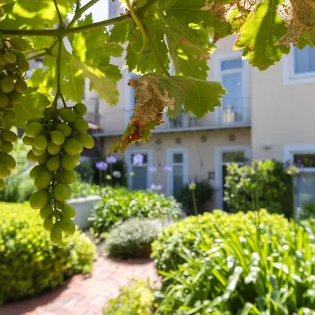 Graça Hidden Garden By Lovelystay Daire *